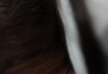 [ROSI写真]2021.01.11 NO.3325[41+1P45M]-妹子图