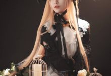 铁板烧鬼舞w -  NO.030 夜莺[17P-179M]-妹子图