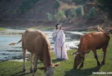 [Beautyleg] 高清影片 2018.04.26 NO.849 Avril [1V/924M]-妹子图