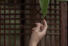 [beautyleg视频]HD高清影片 2019.09.10 No.993 Winnie[1V/971M]-妹子图