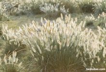 [YITUYU艺图语]2023.03.14 秋风起 芝芝琪[25+1P／298MB]-妹子图