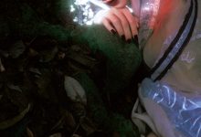 [YITUYU艺图语]2023.03.12 寻梦记·彼时蝶 阿了个戚[22+1P／406MB]-妹子图