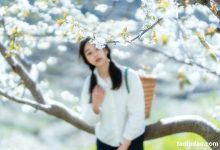 [YITUYU艺图语]2021.12.27 故乡的小燕子 欢欢[35+1P／588MB]-妹子图