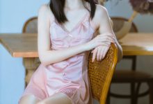 许岚 NO.009 — 半透粉纱[40P-836MB]-妹子图