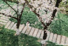 [YITUYU艺图语]2023.04.18 樱花教室 萌伊伊[32+1P／368MB]-妹子图