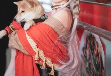 Coser面饼仙儿 – Belfast [17P-266M]-妹子图