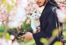 [YITUYU艺图语]2021.09.04 猫侍 邱风[30+1P／311MB]-妹子图