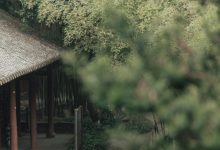 [YITUYU艺图语]2022.07.12 入江南 辛冉[32+1P／356MB]-妹子图