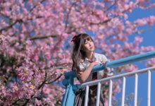 萌芽儿 -  异木棉花 [27P-436MB]-妹子图