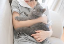 [轻兰映画]SPL.014[110P／875MB]-妹子图