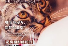 [108酱TV]日系系列 2016.09.01 妮小妖-女仆黑丝诱惑 [1V]-妹子图