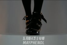 芝士好椰 NO.009  - 简直是难以抗拒的奢华光泽[1V／627MB]-妹子图