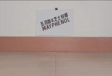 芝士好椰 NO.097 – 听！把麦克风别在鞋上！黑色维莉雅 [MOV-494MB]-妹子图