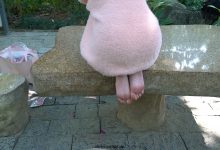 [MussGirl]慕丝女郎视频 No.027 人气网红主播月亮姐姐有幸约得户外拍摄 [MP4-3.00GB]-妹子图