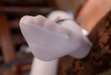 Sayako今年四岁-原神-珐露珊[38P-796MB]-妹子图